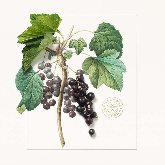 L'ArtisanParfumeur Mûre et Muscドライボディオイル ミュールエムスクドライオイル(ラルチザンパフューマー)の通販